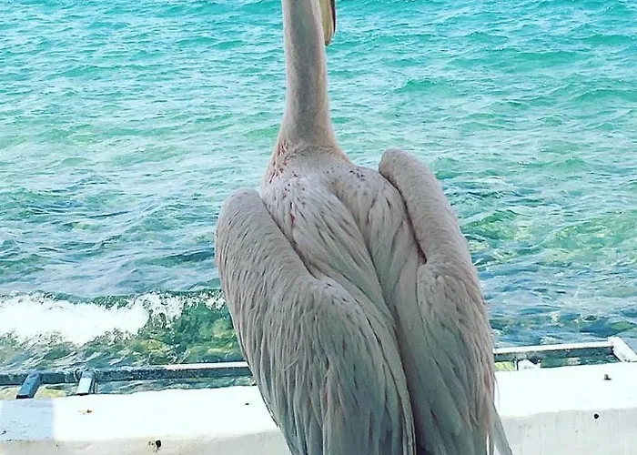 Διαμέρισμα Hidden Serenity *