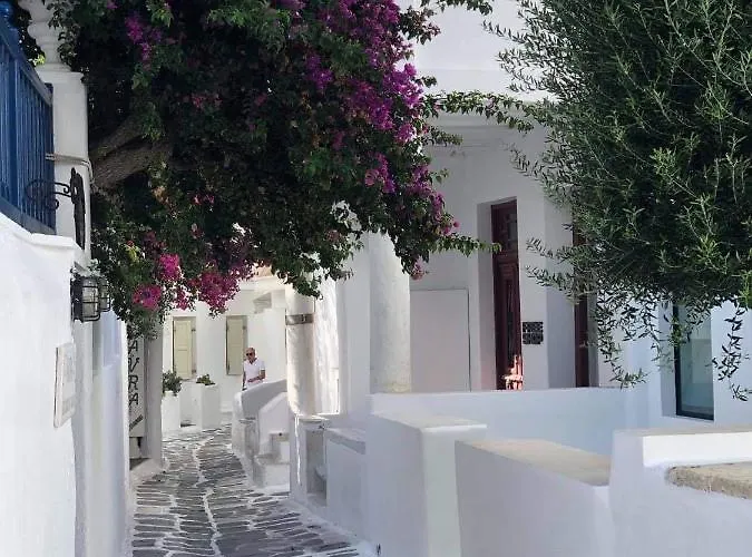 Hidden Serenity アパート Mykonos Town