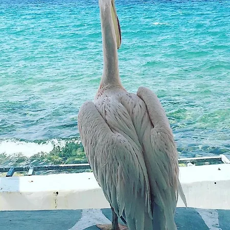 Апартаменты Hidden Serenity *